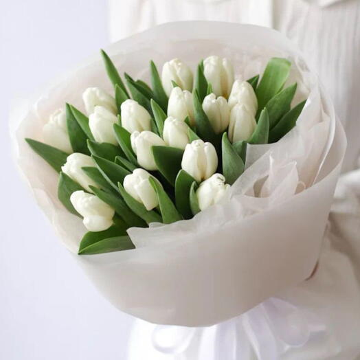 White tulips