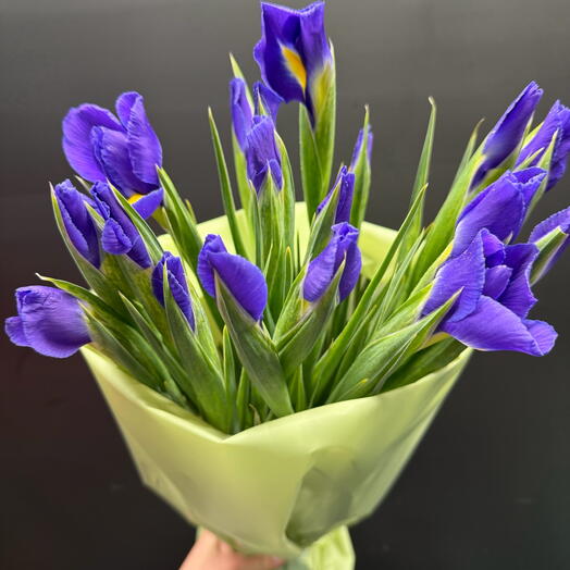 Букет из ярких ирисов 💜
