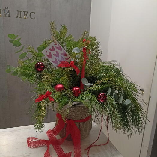 Новогоднее чудо