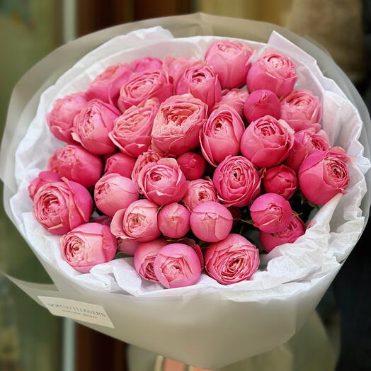 💗 Piwoniowy sen