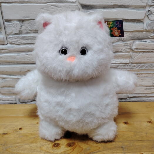 Кот 2