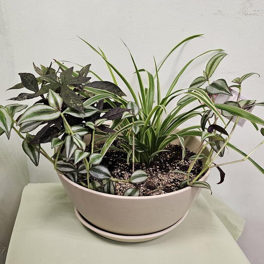 Флорариум в вазоне