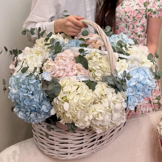 Большая корзина воздушных гортензии