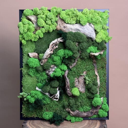 Панно мох+дрифтвуд