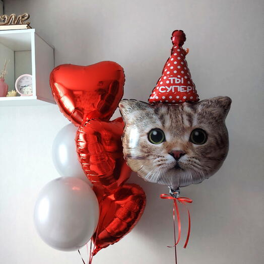 Шары на день рождения любимой девушке , мужчине, коллеге кот в колпачке на 14 февраля, день святого Валентина