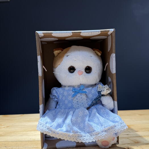 Кошка в платье