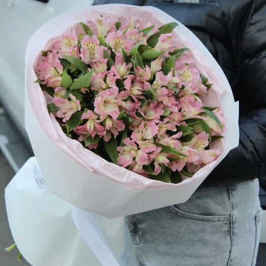 Розовая альстромерия