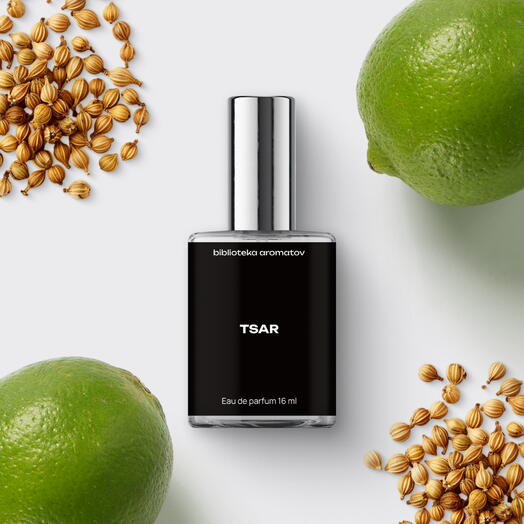 Парфюмерная вода женская и мужская стойкая «Царь (минимализм)», 16 мл