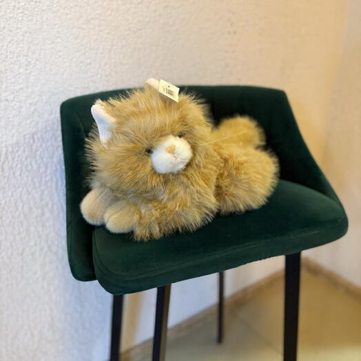 Кошечка