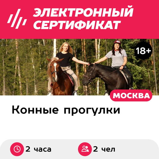 Подарочный сертификат Прогулка на лошади и катание на квадроцикле для 2 человек (2 часа)
