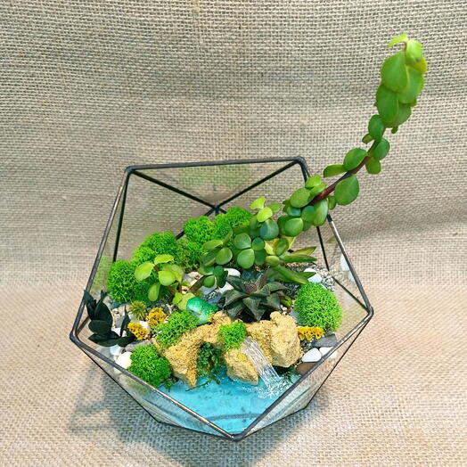 Флорариум "Бали"