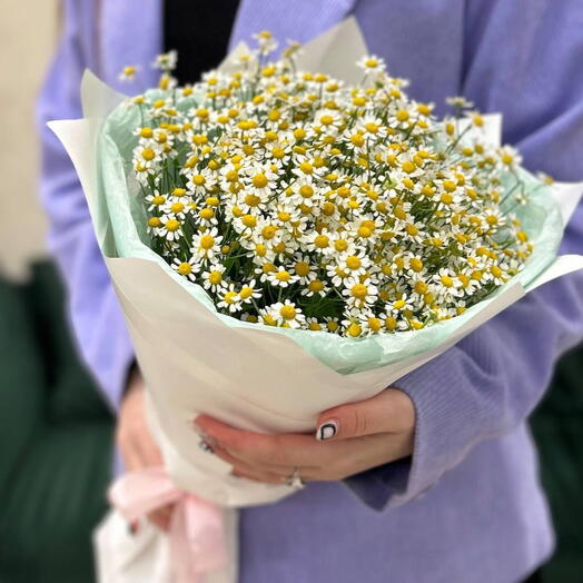 Букет из 15 кустовых ромашек ️