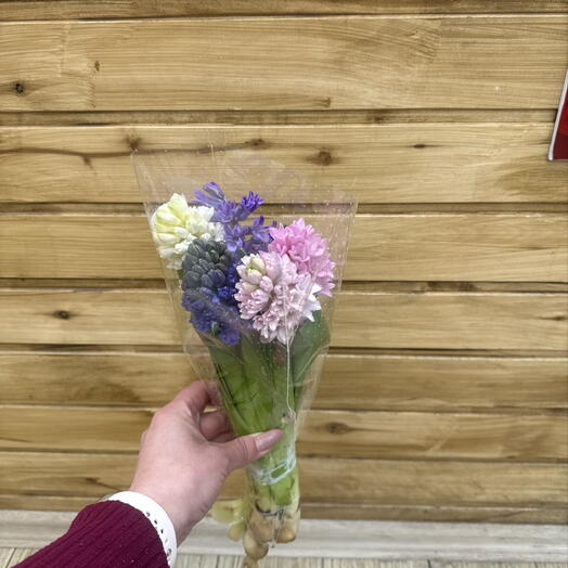 Букет гиацинт