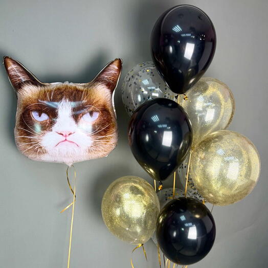 Шары на день рождения «Угрюмый кот» девушке, мужчине, 11 шт