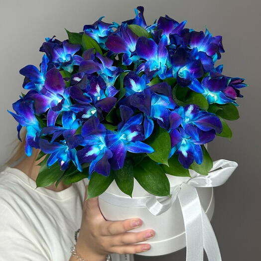 Букет из космических орхидей в коробке (23 шт). Flowerly
