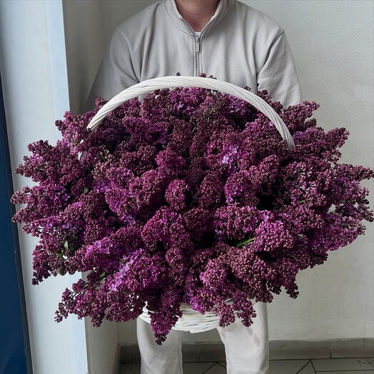 Букет из сирени 49 шт в корзине