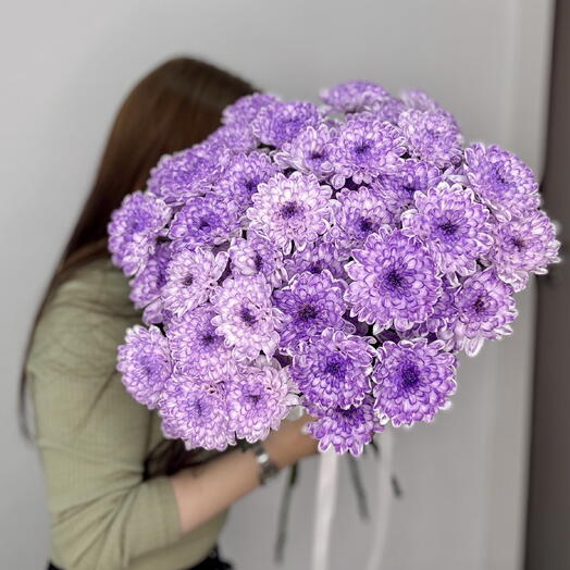 Фиолетовые хризантемы 7 Алтай