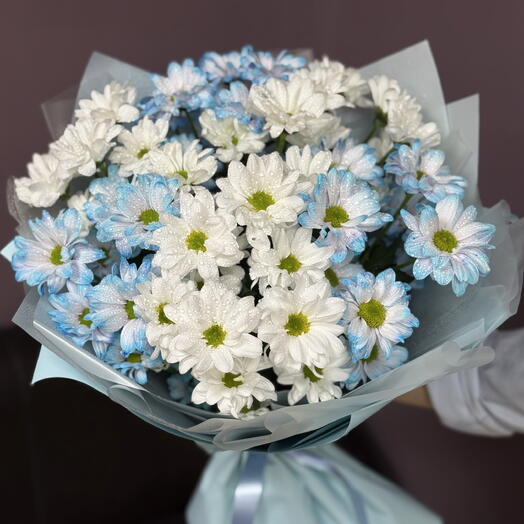 Букет из 7 хризантем Кеннеди 🤍💙