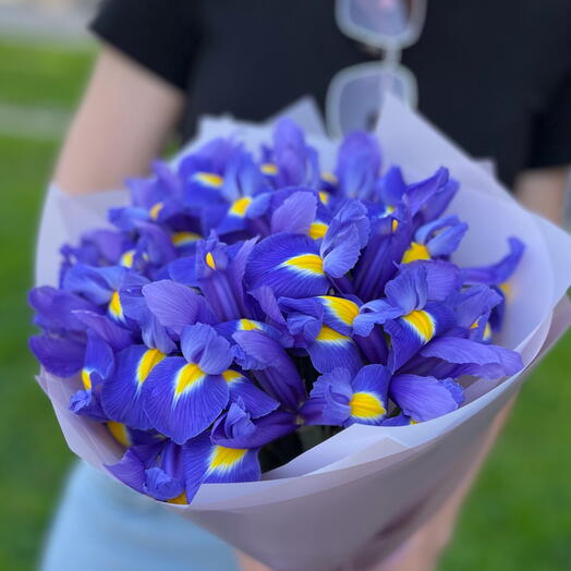 Ароматные ирисы 15 штук