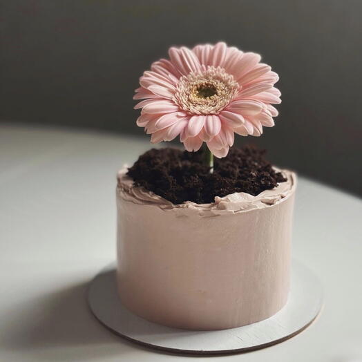 🌸Живой цветок в бенто торте