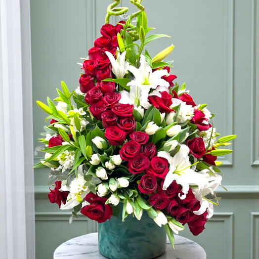 Qutu Bordo Roz Lilliya Roze (Tulip s Tranquil Whisper)