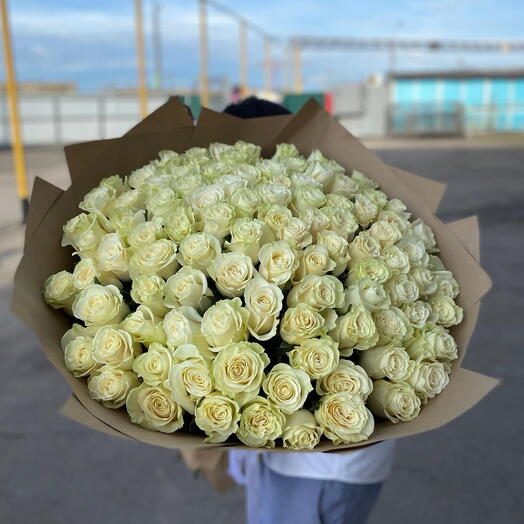 roses white mondial