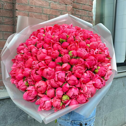Пионы коралловые