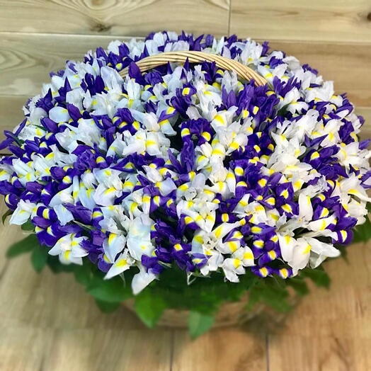 Микс из 201 ириса в корзине