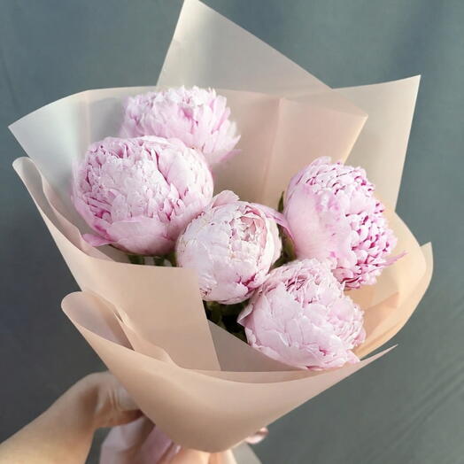 5 пионов АКЦИЯ💜💜💜