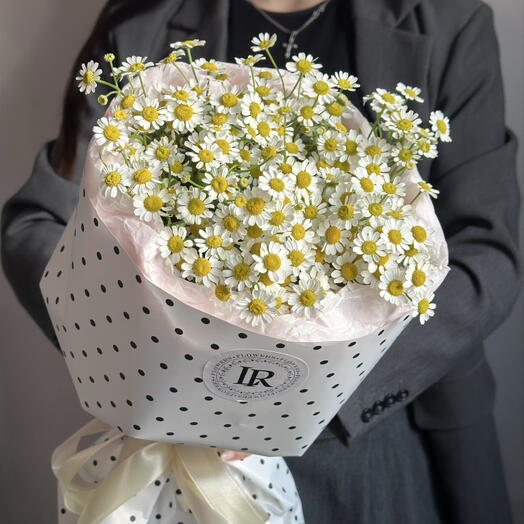 Ромашки polka dots