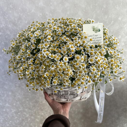 Корзина ромашки