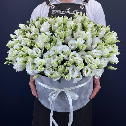 61 eustoma in a velvet box