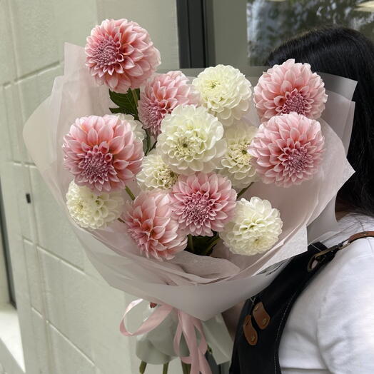 Dahlias mix M size