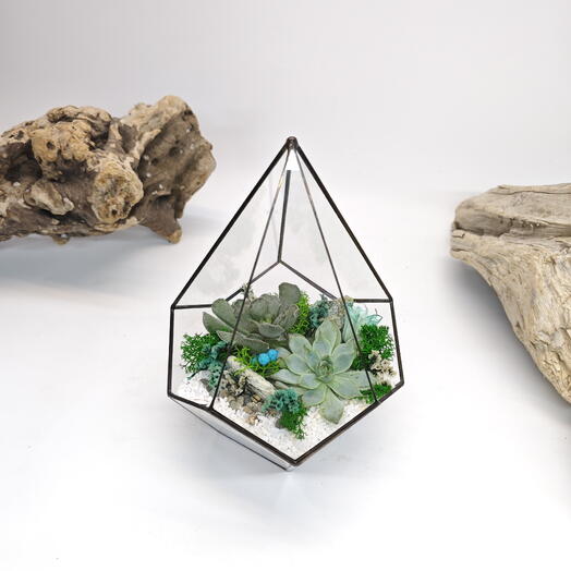 Florarium con suculentas" Tiffany " Gota 14x20cm