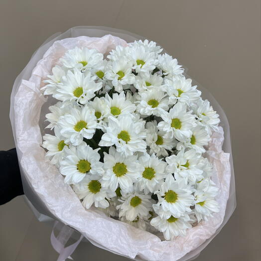 Летний букет свежий ромашек 🌸
