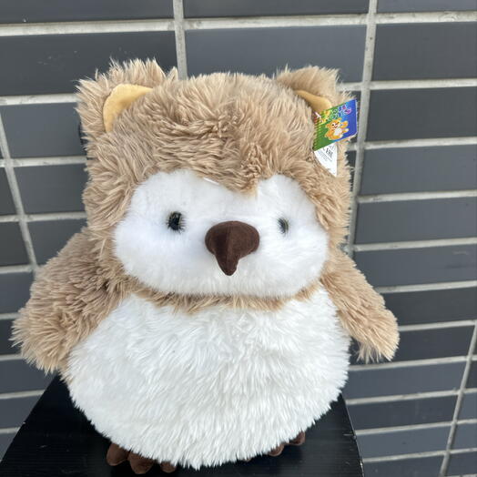 Сова