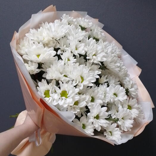 Ромашки🌼