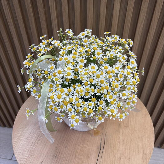 Цветы в корзине с ромашкой 🧡
