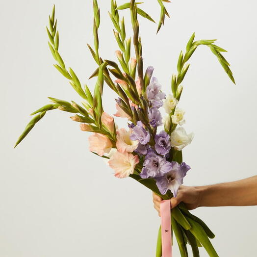 Букет с гладиолусами Дозен моно 82