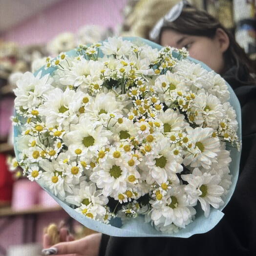 Ромашковое поле