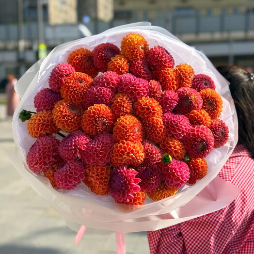 Букет из 51 Георгины микс