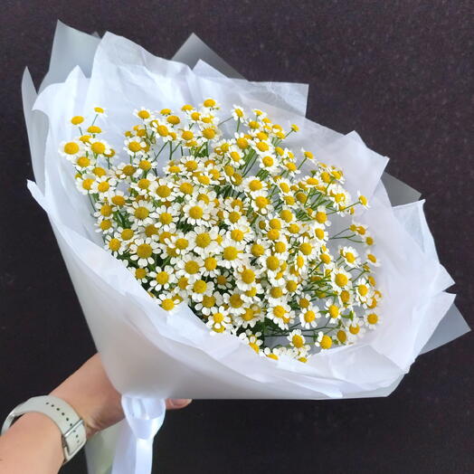 Ромашка в нежном букете 😍