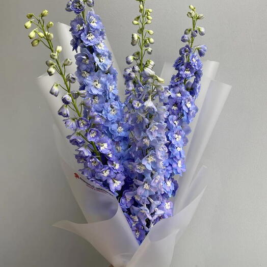 Букет из дельфиниума 💙