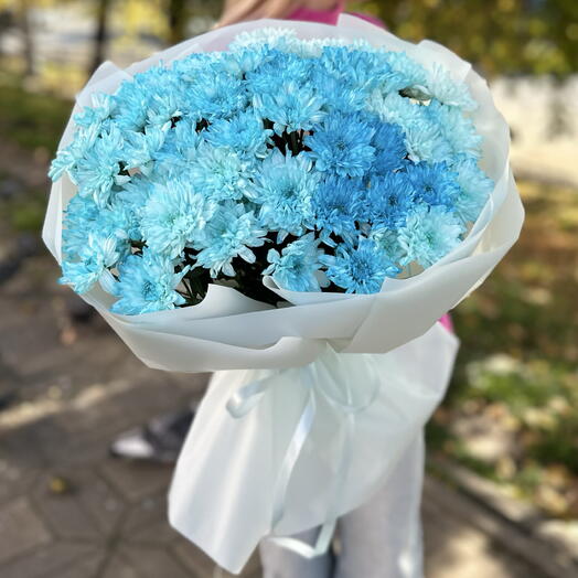 Букет голубых хризантем 💙