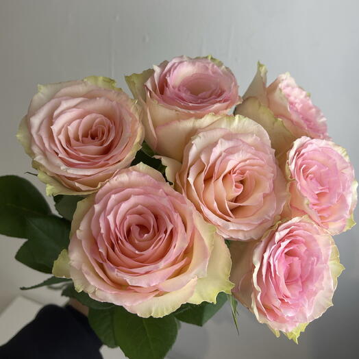 Розы нежные 🌸7