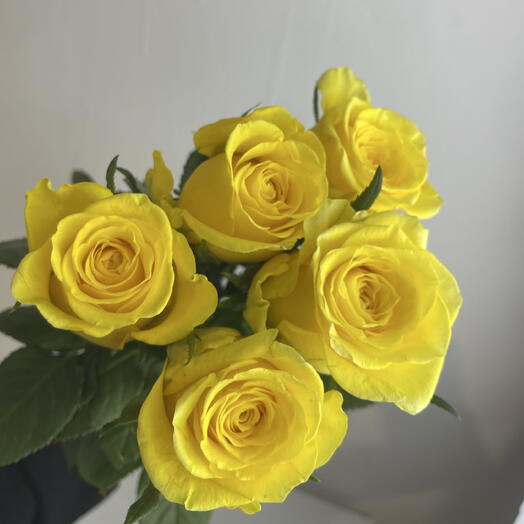 Розы жёлтые 💛 5