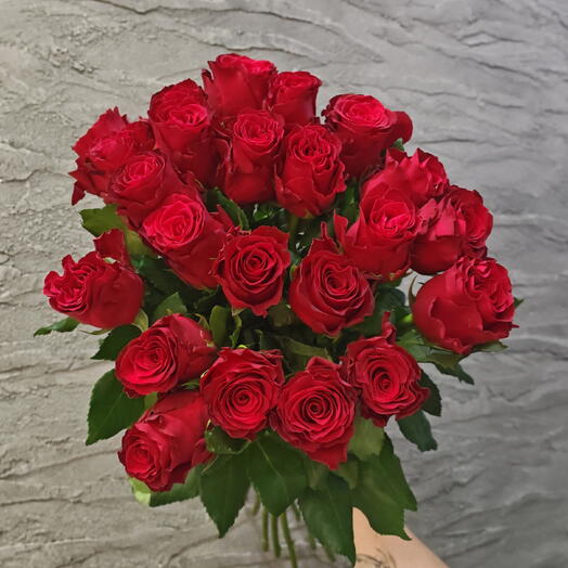 Роза эквадор 23шт без упаковки