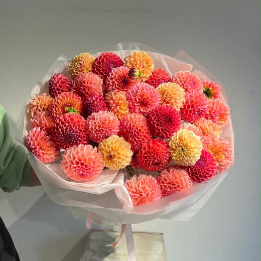 Dahlia Orange