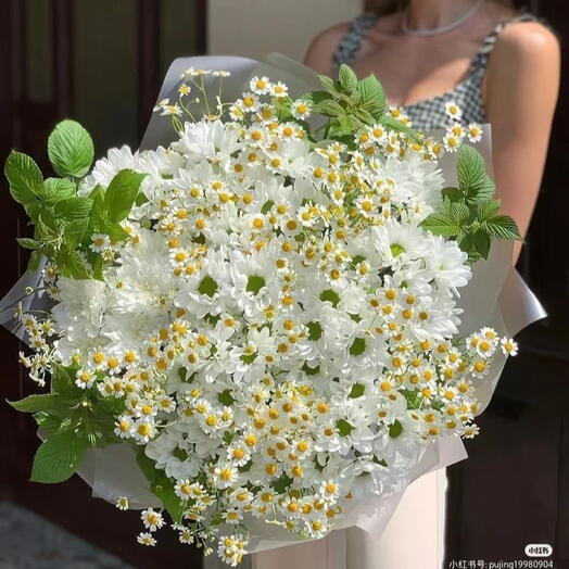 Ромашковый 11