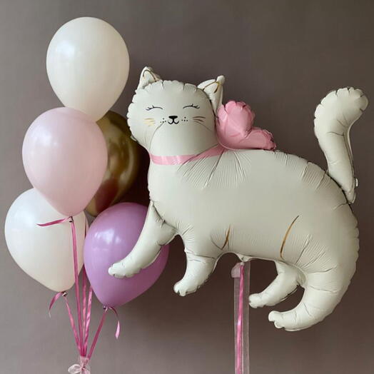 Шарик котик
